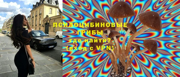 mdpv Кодинск