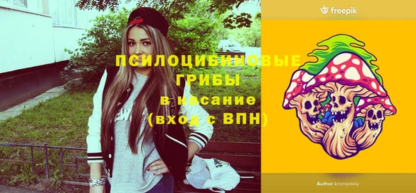 mdpv Кодинск