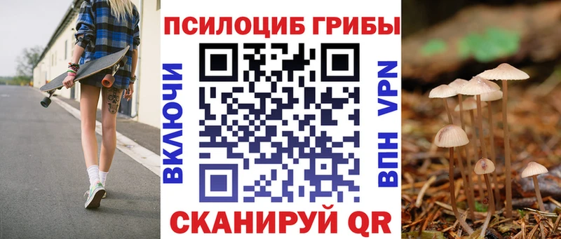 цены   Краснодар  Галлюциногенные грибы Magic Shrooms 
