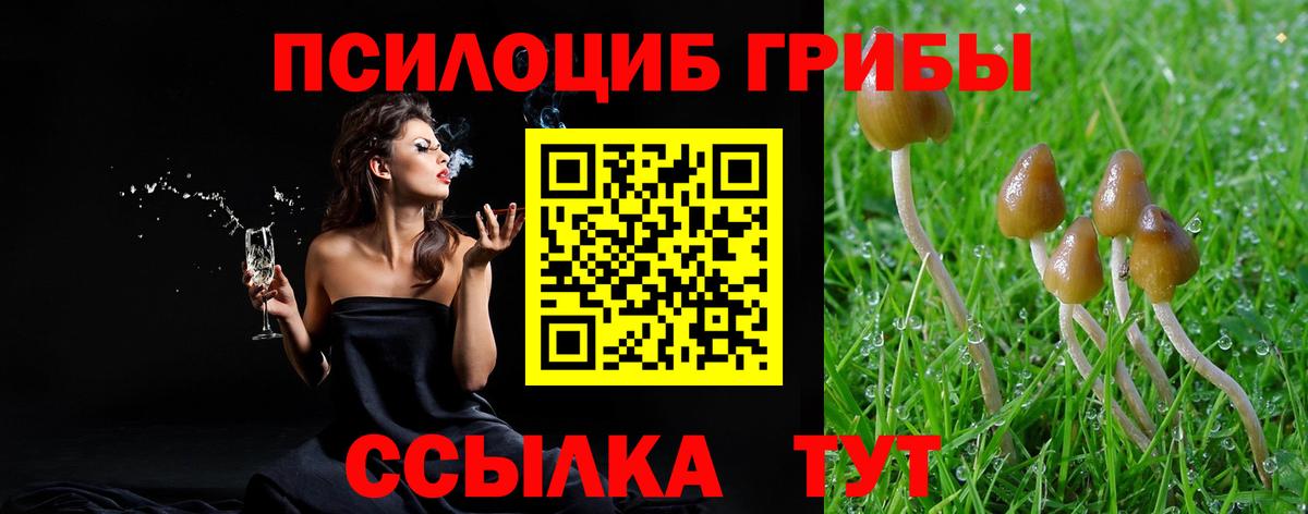 Псилоцибиновые грибы ЛСД  Вход с VPN  продажа наркотиков  Галлюциногенные грибы ЛСД  Краснодар 
