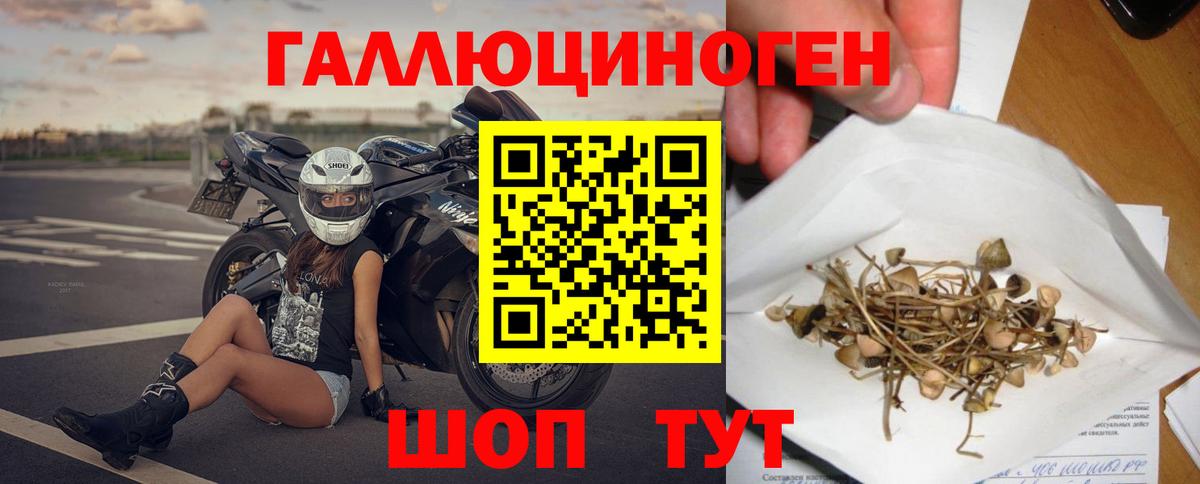 Галлюциногенные грибы MAGIC MUSHROOMS Краснодар